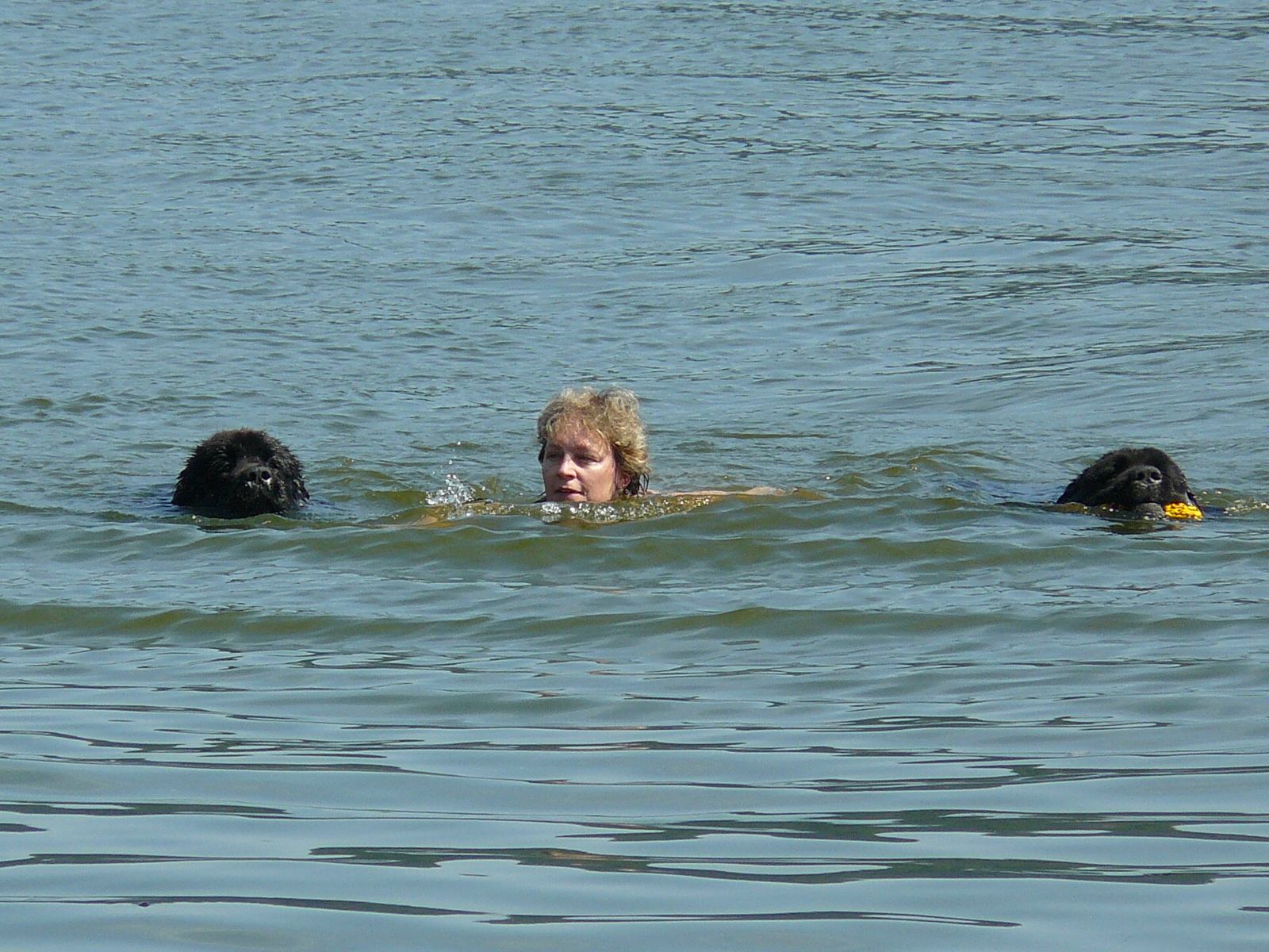 Plavání Bad a Dum Orlík 2009